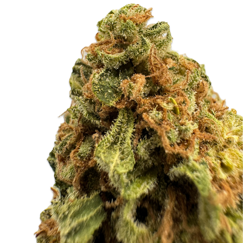 Greenhouse THCa Flower Smalls | BC Bud | 28g | Texas Herb Co.