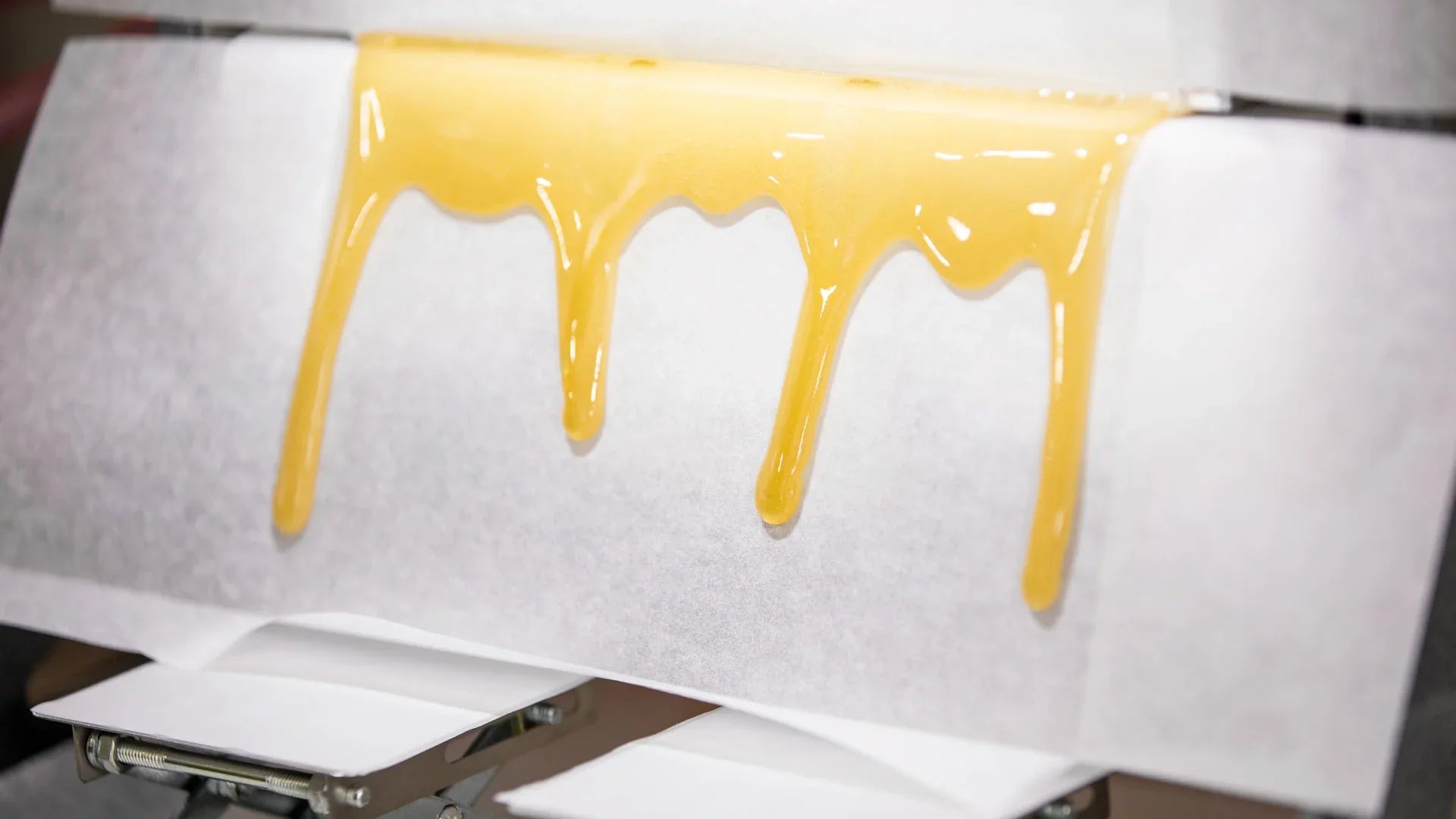 The Intricacies of Solventless Hash Rosin: A Comprehensive Guide – UFORIQ