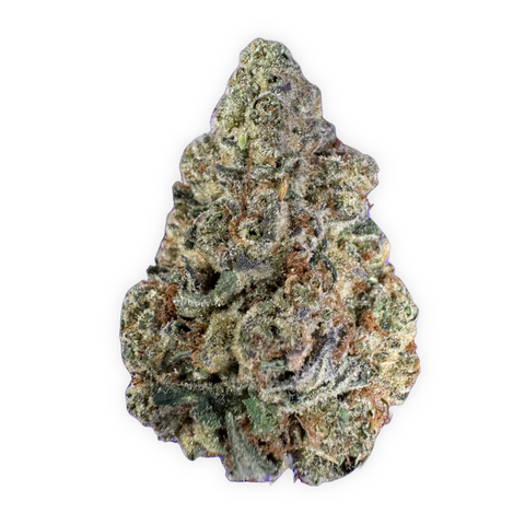 THCa Flower | 3.5g | Trophy Wife | Caprock Family Farms | Indoor Grown