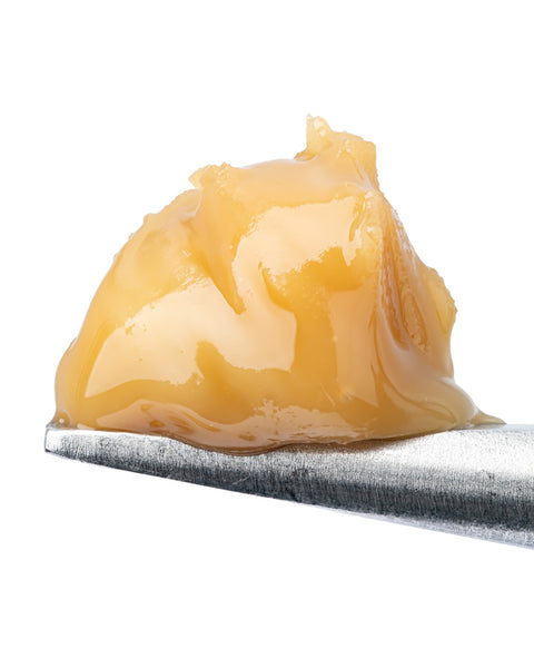 THCa Live Rosin | Banana Cream Pie | WNC CBD