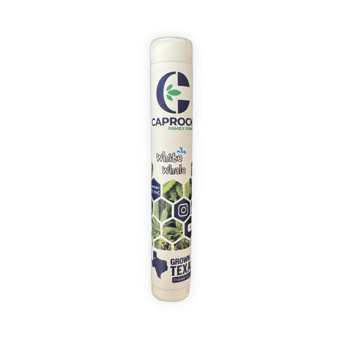High THCa Flower Pre Roll | White Whale | Caprock Family Farms | Hemp 