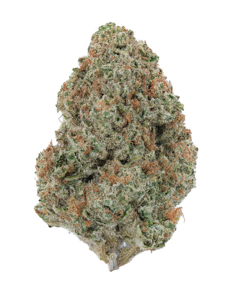 Indoor THCa Flower | Orange Creamsicle | 3.5g | Texas Herb Co.