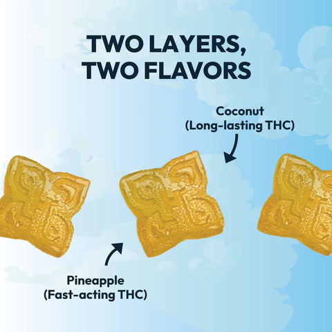 Hometown Hero | Double Take | Pineapple Coconut | 200mg